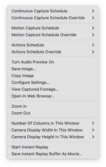 Right-click contextual menu with camera display size and column options