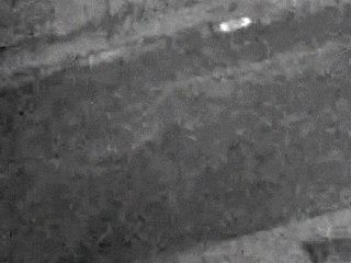 Noise in video captured in low light