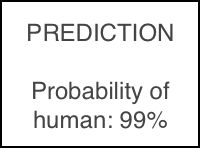 AI prediction result showing probability of human: 99%